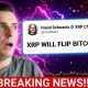 JUST IN!!! DAVID SCHWARTZ SAID XRP WILL FLIP BITCOIN!!!!! (100X??)