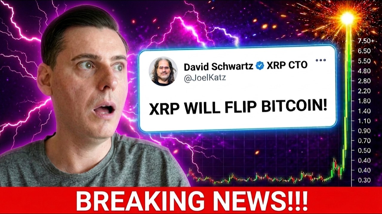 JUST IN!!! DAVID SCHWARTZ SAID XRP WILL FLIP BITCOIN!!!!! (100X??)