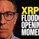 XRP WILL Flip Bitcoin & How The Floodgates Open Clarity Or No Clarity