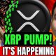 XRP OWNERS I GOT BIG CLARITY NEWS. xrp breaking URGENCY