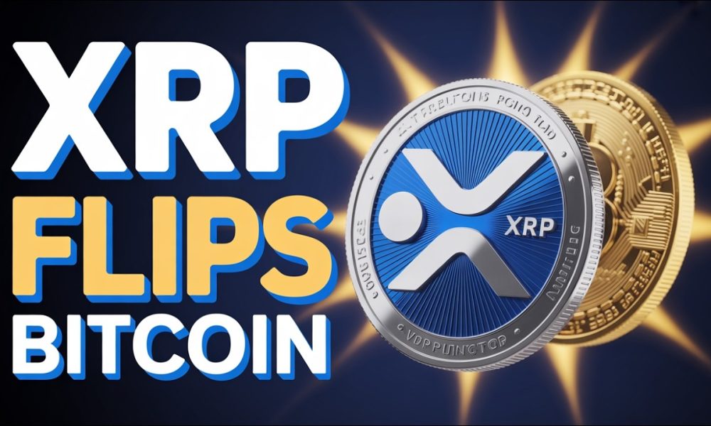 Ripple XRP Could Flip Bitcoin In Price And Become Number 1 Charles Schwab Just Added 3 Altcoins