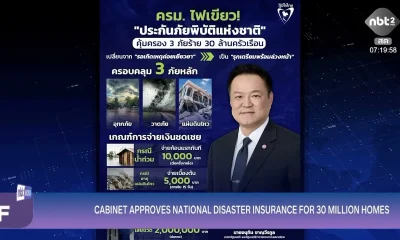 The cabinet has given the green light to a national disaster insurance plan that will cover 30 million homes