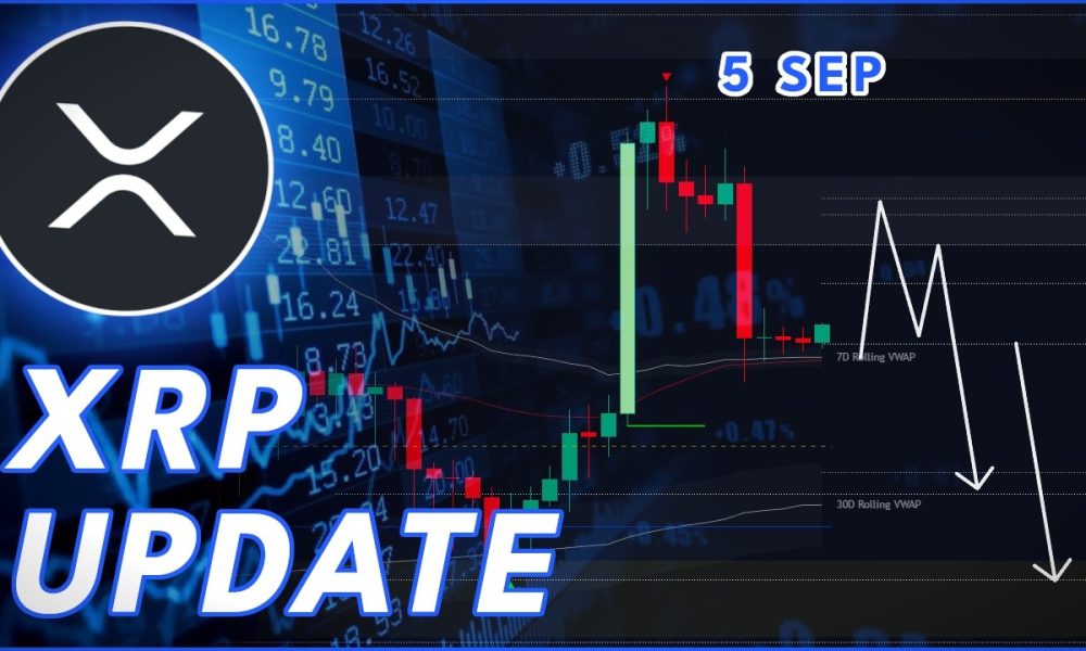 XRP WEEKEND UPDATE! (Ripple Price Prediction)