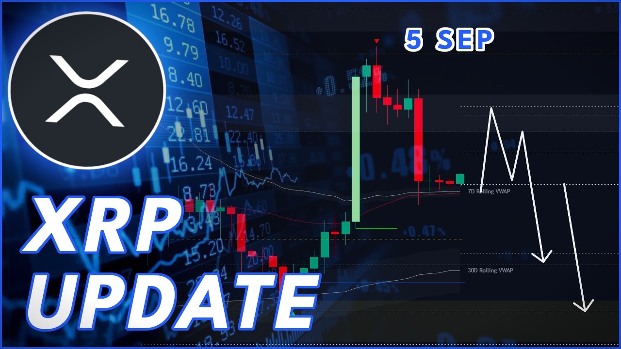 XRP WEEKEND UPDATE! (Ripple Price Prediction)