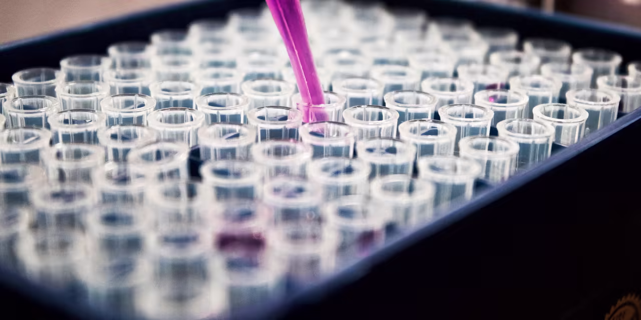 Xenon Stock Craters 30% on Drug Trial Setback. Its Failure Could Be This Biotech’s Gain.