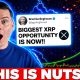 HOLY CR*P BIGGEST XRP OPPORTUNITY EVER!!!!! (THIS IS NUTS)