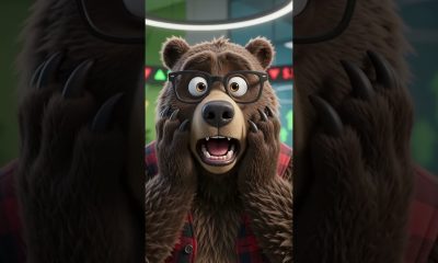 Bull vs Bear Personal Finance 101 #personalfinance