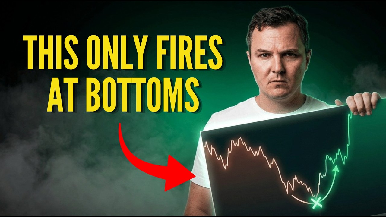 The Bitcoin Bottom Signal With a 100% Hit Rate Just Triggered