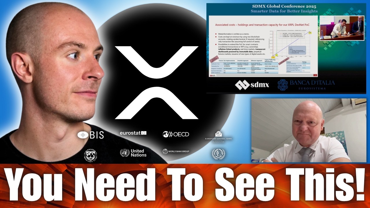 Ripple XRP Holders Need To See This..... Just Watch The Video!