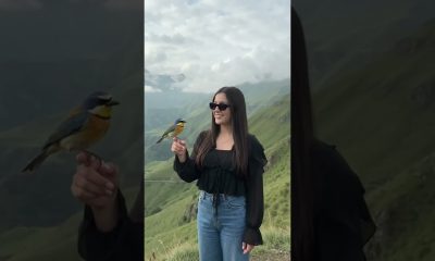 I asked this bird gor financial advice #finanacialadvice
