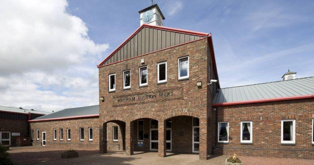 Farmers Voice 2026 event to explore routes into farming