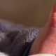 York Hospital maternity services rated ‘good’ by CQC
