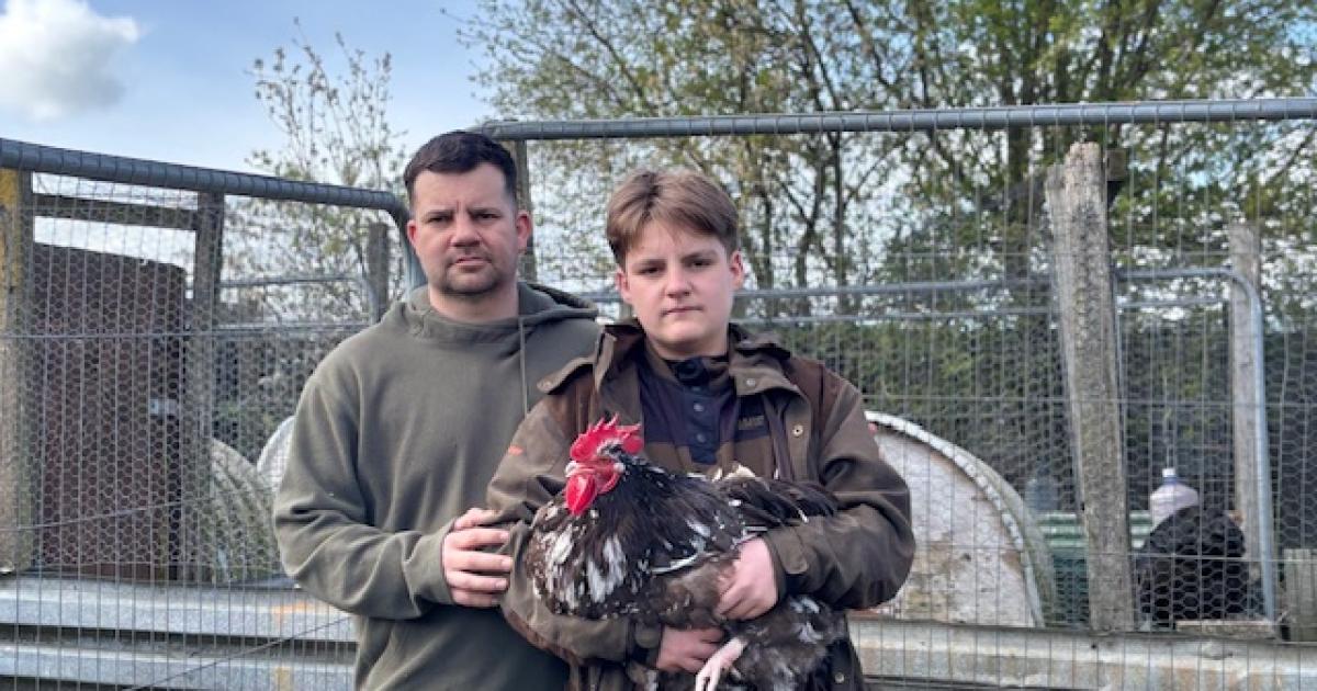 Durham County Council to 'reconsider' allotment cockerel ban