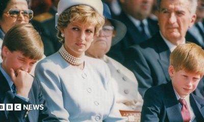 Princess Diana, wearing a light blue dress and hat, sits in between a young Prince William on the left (holding his hand to his mouth) and Harry to the right. Diana is looking into the distance to the left.