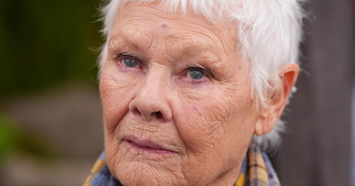 Dame Judi Dench adds Chichester to memoir tour of England