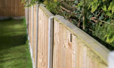 Homeowners urged to paint garden fences now according to experts