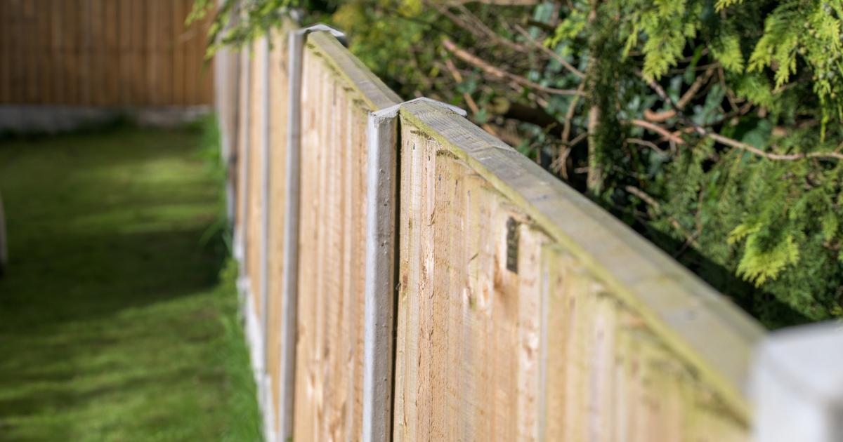 Homeowners urged to paint garden fences now according to experts