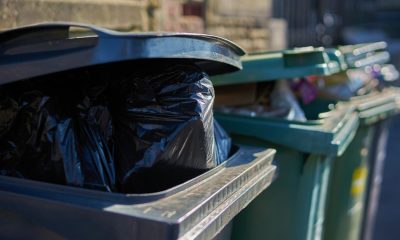 Binman shares how to keep flies away from food waste