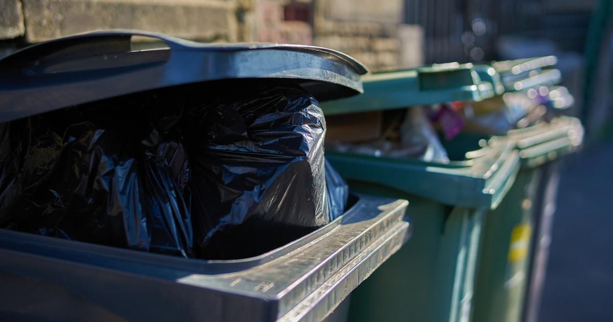 Binman shares how to keep flies away from food waste