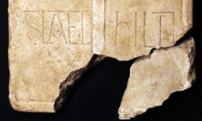 Tees Archaeology Day to explore Hartlepool medieval burial discovery