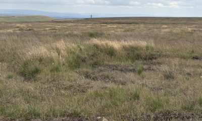 Holcombe Moor rewetting peat scheme to provide fire resilience