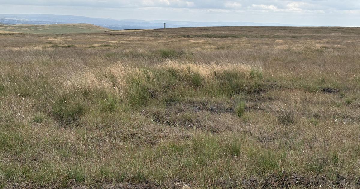 Holcombe Moor rewetting peat scheme to provide fire resilience