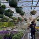 Hidden Yorkshire garden centre with flower pick and mix