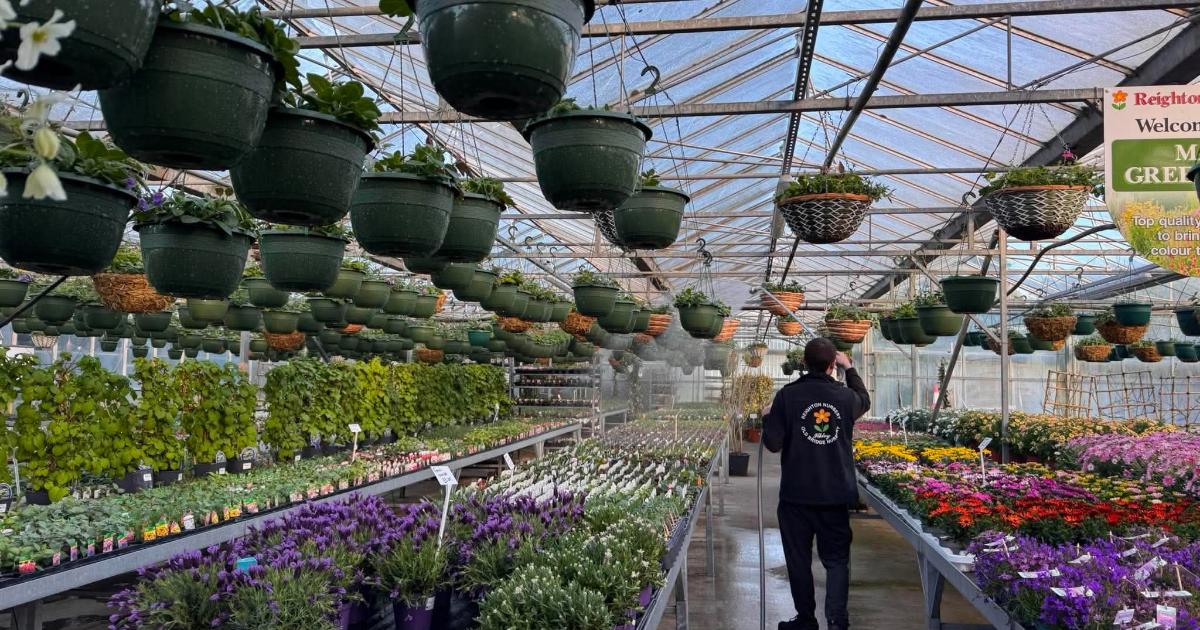 Hidden Yorkshire garden centre with flower pick and mix