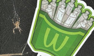 Bolton cannabis QR code stickers to be removed after concerns