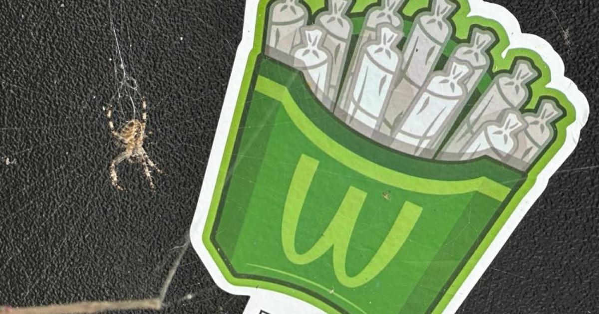Bolton cannabis QR code stickers to be removed after concerns