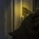Burglars target homes in Yorkshire town and villages