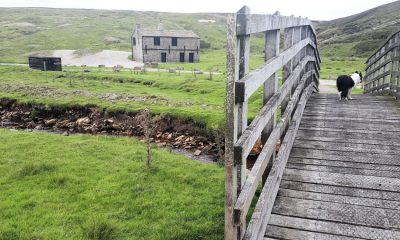 Spectacular walk to remote spot at Riggs Moor in Dales