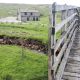 Spectacular walk to remote spot at Riggs Moor in Dales