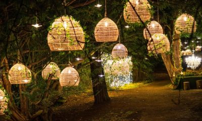 Luminescence winter light trail returns to Swinton Estate