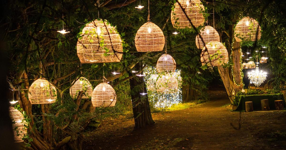Luminescence winter light trail returns to Swinton Estate