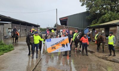 Horses and riders took part in Chew Moor road safety event