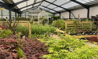 Northallerton garden centre celebrates 60th anniversary