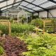Northallerton garden centre celebrates 60th anniversary