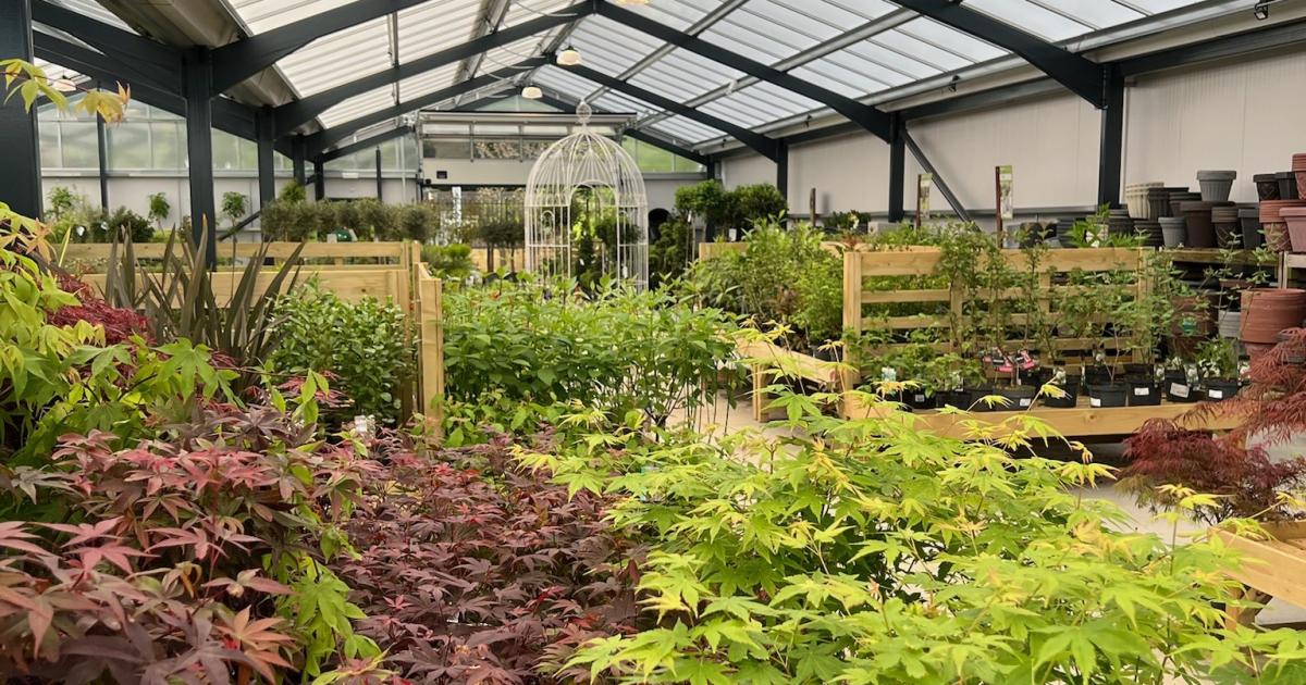 Northallerton garden centre celebrates 60th anniversary