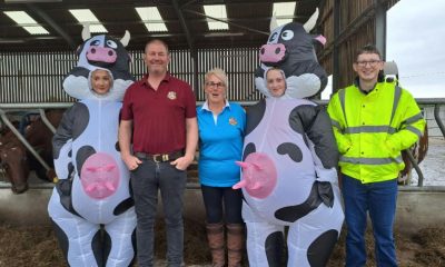 Farm behind Mootop milkshakes holds open day for special cause
