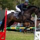 Crowds flock to Stanhope Show this weekend