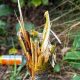 Damage at Rowntree Park garden in York is condemned