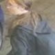 Missing 13-year-old Lillia found safe after eight days
