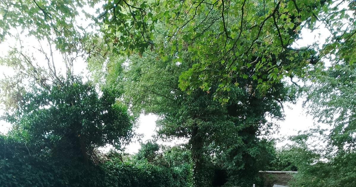 County Durham's rare ceramic heart headstones revealed