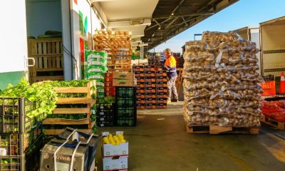 UK food wholesaler falls into administration after 6 years
