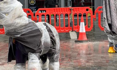 Bolton's beloved elephants are finally coming home after 11 years