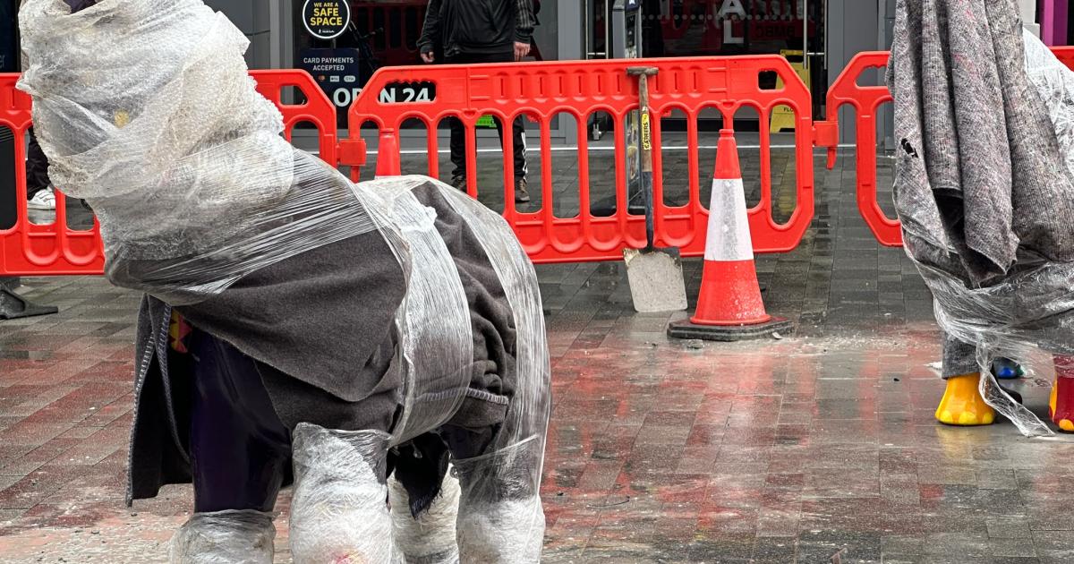 Bolton's beloved elephants are finally coming home after 11 years