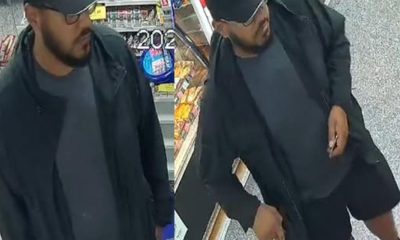 Police appeal after theft from car in Balmoral Terrace, York