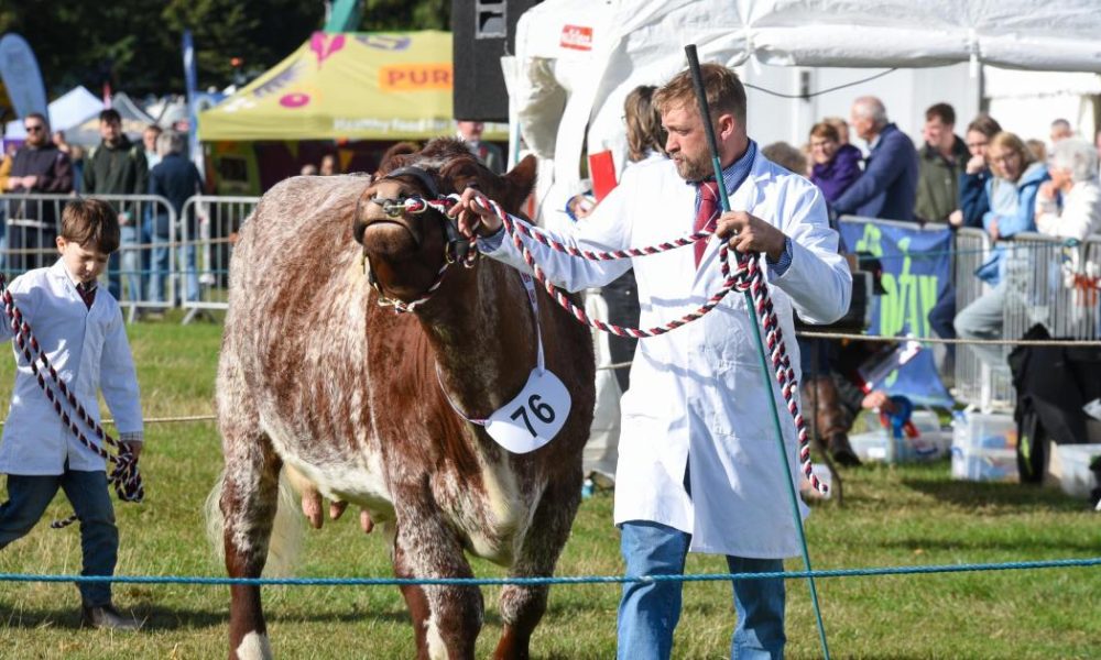 Pictures as thousands flock to Stokesley Show 2026