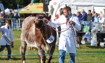 Pictures as thousands flock to Stokesley Show 2026